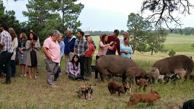 A Grazing Life guests and events